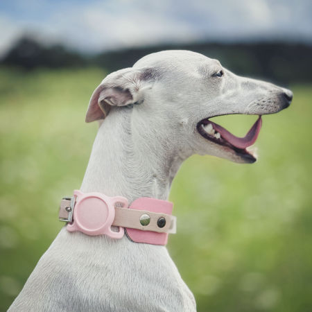 SmartTag - lokalizator do obroży dla iOS zdjęcie 2