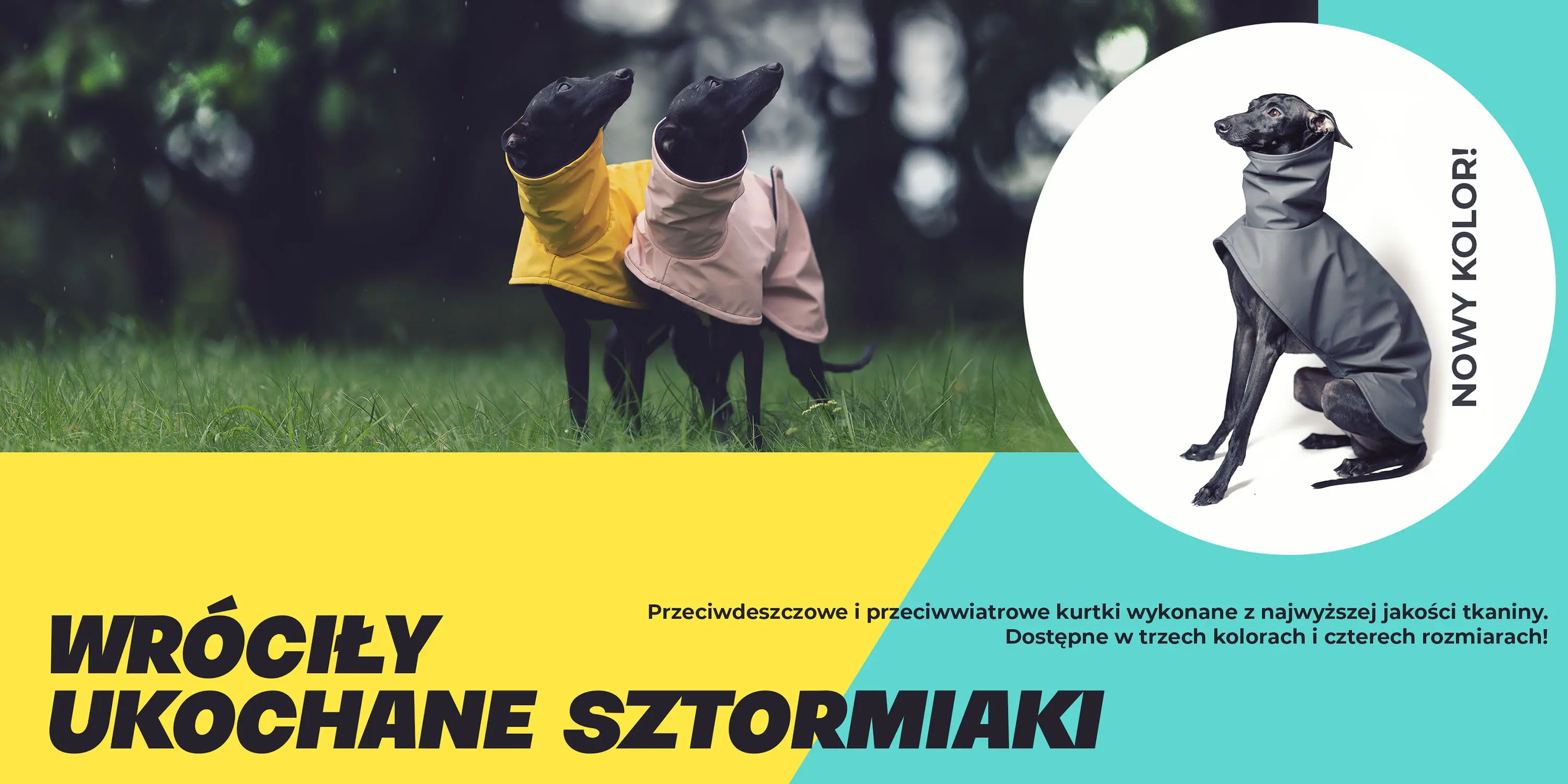 Ubranka dla charcików włoskich Wear.Chartbeat ♥